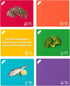 Flexible cutting boards set of 6