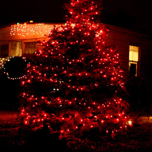 Funpeny 300 LED Valentine's Day String Lights, 100 FT Plug in Connectable Waterproof Fairy String Lights Green Wire with 8 Modes for Indoor Outdoor Xmas Tree Home Garden Decorations (Red)