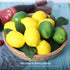 Fake Fruit Artificial Lemons, 3.1''—2.2'' Faux Lemon Fake Limes with Leaves, Lifelike Fake Lemon Decor for Kitchen Table Cabinet Party, Plastic Fruits Photography Prop 36PCS