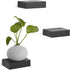 Umbra 325560-040 Showcase Shelves Set Gallery Display, Floating Wall Shelf for Small Objects and More (Set of 3), Black