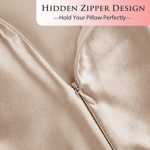 Ravmix 100% Silk Pillowcase for Hair and Skin with Hidden Zipper, Both Sides 21Momme Mulberry Silk, 1PCS, Standard Size 20—26inches, Beige