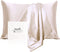Ravmix 100% Silk Pillowcase for Hair and Skin with Hidden Zipper, Both Sides 21Momme Mulberry Silk, 1PCS, Standard Size 20—26inches, Beige