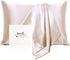 Ravmix 100% Silk Pillowcase for Hair and Skin with Hidden Zipper, Both Sides 21Momme Mulberry Silk, 1PCS, Standard Size 20—26inches, Beige