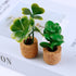 JUSTDOLIFE Plant Fridge Magnets-14 Pack Mini Succulent Plants Magnets Artificial Plants Refrigerator Magnets Potted Succulent Plants Magnet Stickers Cute for Magnet Boards Fridge Home Office Décor