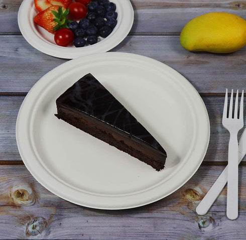9 inch Compostable Plates, 100 Count Heavyduty Sugarcane/Bagasse and Bamboo Fibre Biodegradable Disposable Paper Plate