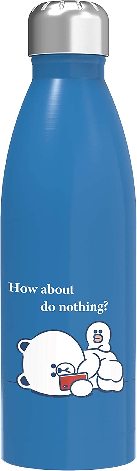 Zak Designs LINE FRIENDS BROWN 17.5 oz Stainless Steel Vacuum Insulated Water Bottle with Leak-Proof Cap Keeps Drinks Cold (17.5 oz, BROWN)