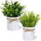 LESEN 2 Pack Fake Plants in Galvanized Metal Pots Modern Farmhouse Table Centerpiece Rustic Home Decor, Potted Artificial Eucalyptus Faux Plants for Indoor Shelf Dining Room Office Desk Decoration