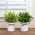 LESEN 2 Pack Fake Plants in Galvanized Metal Pots Modern Farmhouse Table Centerpiece Rustic Home Decor, Potted Artificial Eucalyptus Faux Plants for Indoor Shelf Dining Room Office Desk Decoration