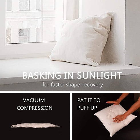 Edow Luxury Throw Pillow Insert, Soft Fluffy Down Alternative Polyester Square Form Decorative Pillow Insert,Sham Stuffer,Cotton Cover for Sofa, Couch,Bed and Car. (White, 28x28)