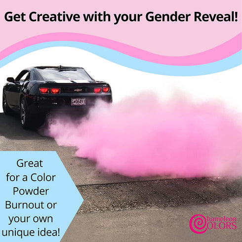 Chameleon Colors Gender Reveal Powder, Pink Color Powder, 2 Pounds (1 Pound Per Bag), Pack of 2