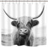 Riyidecor Highland Cow Bull Shower Curtain 60Wx72H Inch Farmouse Western Wildlife Portrait Animal Funny Country 12 Pack Plastic Hooks Kids Sketch Waterproof Fabric Modern Polyester Bathroom Decor