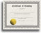 Certificate of Training Certificate Paper with Embossed Gold Foil Seals - 30 Pack - Parchment Award Certificates for Students, Teachers, Employees - 8.5" x 11" Inkjet/Laser Printable