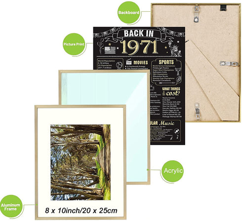 Back in 1971 Poster with Frame 51th Birthday Decoration for Men and Women 51 Years Party Supplies Home Decor for Him or Her (Back in 1971-Gold Frame)