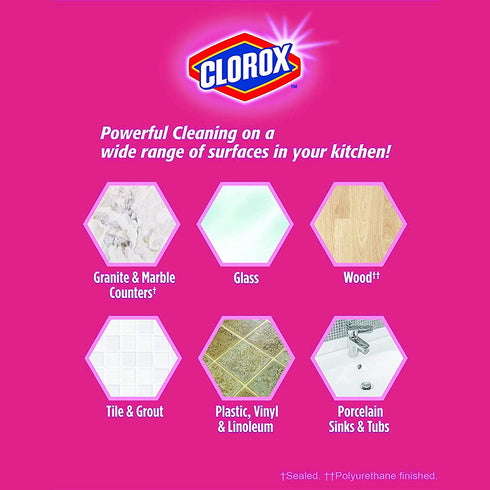 Clorox ScrubMate Handheld Kitchen Scrubber, Plus 3 Refill Pads