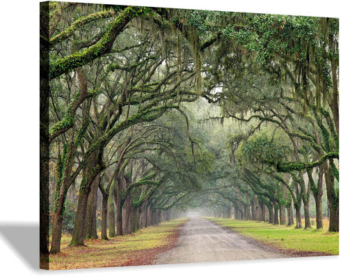 Oak Tree Canvas Wall Art: Green Landscape Artwork Forest Picture Painting Small Size for Bathroom (16'' x 12'' x 1 Panel)