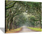 Oak Tree Canvas Wall Art: Green Landscape Artwork Forest Picture Painting Small Size for Bathroom (16'' x 12'' x 1 Panel)