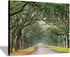 Oak Tree Canvas Wall Art: Green Landscape Artwork Forest Picture Painting Small Size for Bathroom (16'' x 12'' x 1 Panel)