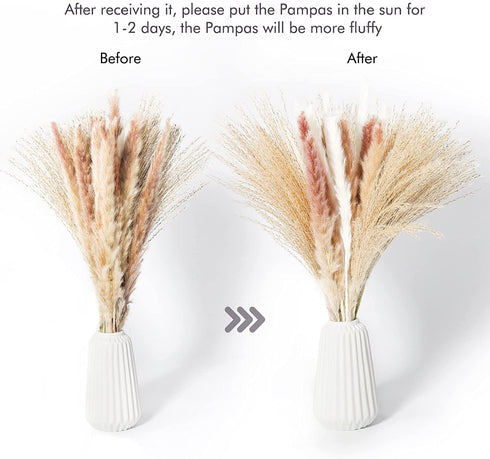 ANKRA 60 Pcs Natural Dried Pampas Grass, 15 Pcs White Pampas & 15 Pcs Brown Pampas & 30 Pcs Reed Grass, 20" Fluffy Pampas Grass Decor, Dried Pampas Grass for Flower Arrangements Home Decor, (ANKRA-01)