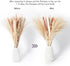 ANKRA 60 Pcs Natural Dried Pampas Grass, 15 Pcs White Pampas & 15 Pcs Brown Pampas & 30 Pcs Reed Grass, 20" Fluffy Pampas Grass Decor, Dried Pampas Grass for Flower Arrangements Home Decor, (ANKRA-01)