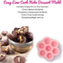 Keto Fat Bomb-Dessert Molds and Recipe Tray with Easy and Simple Low Carb, High Fat Treats