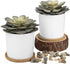 Hopewood Artificial Succulents in Pots,Large Succulents Plants Artificial with Bamboo Trays, 5.5" X 6" Fake Plants for Bedroom Decor, Set of 2
