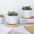 Hopewood Artificial Succulents in Pots,Large Succulents Plants Artificial with Bamboo Trays, 5.5" X 6" Fake Plants for Bedroom Decor, Set of 2