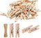 Tiny Clothespins,Mini Clothes Pins for Photo,Small Clothes pins for Photos Natural Wooden Small Photo Clips for Crafts 200 PCS 1 Inch Mini Close Pins for Pictures,Display Artwor,Little Baby Shower