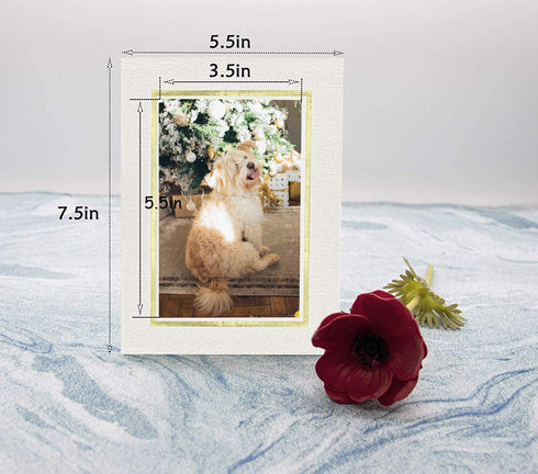 Golden State Art, Pack of 25, 4x6 Paper Picture Frames with Easel, Paper Photo Frame Cards, DIY Cardboard Photo Frame(Ivory, 4x6, 25-Pack)