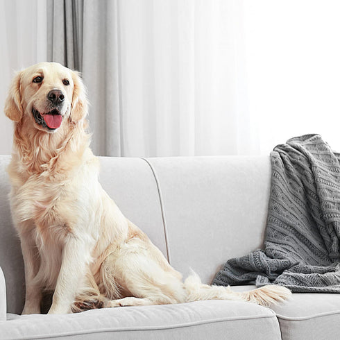 Zep Air and Fabric Odor Eliminator - 32 Ounces (Pack of 2) ZUAIR32 - Refresh Your Home, Office and Business