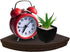 Halter Semi Circle Ledge Wood Shelves, Decorative Floating Wall Shelves for Bathroom, Bedroom, Living Room, and Kitchen, Wooden Office Shelves for Wall Storage, Floating Wall Shelf, (Brown)