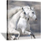 Hardy Gallery White Horse Picture Wall Art: Running Animal Artwork Painting Print on Wrapped Canvas for Bedroom (12'' x 12'')