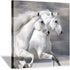 Hardy Gallery White Horse Picture Wall Art: Running Animal Artwork Painting Print on Wrapped Canvas for Bedroom (12'' x 12'')