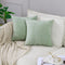 GEGELICA Decorative Throw Pillow Covers Pack of 2 Chenille Farmhouse Pillowcases Soft Solid Pillow Cases for Couch Cushion Sofa Bedroom 20x20 Inch, Sage Green