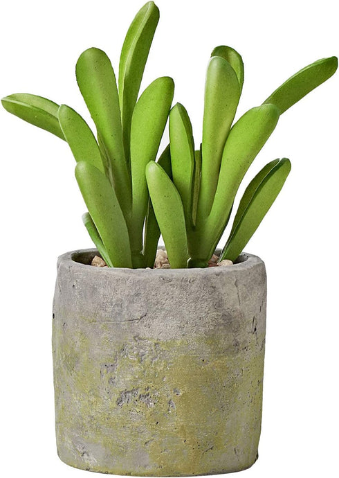 MOTINI Green Mini Artificial Succulents Plants Potted Small Faux Succulent in Cement Pots Fake Realistic Plant for Home Office Decor Indoor Outdoor, Set of 3