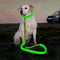 Illumifun LED Dog Leash, USB Rechargeable Pet Leash Glow in The Dark, 47.2inch Nylon Light Dog Leash for Your Dog Walking at Night (Green)