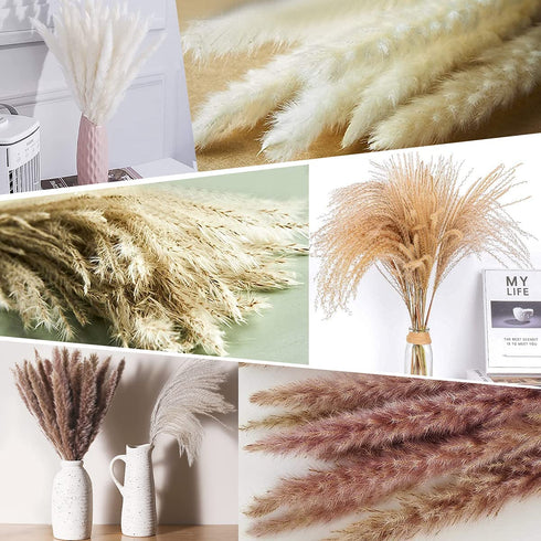 80Pcs Boho Home Decor Dried Flowers Arrangements, Nature Dried Pampas Grass Decor 17.32 Inch Small Pompous Grass Floral Reed Lagurus Ovatus Bunny Tail Grass Bouquet Bulk