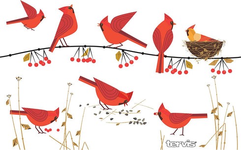 Tervis Cardinals Stainless Steel Insulated Tumbler with Lid, 20 oz