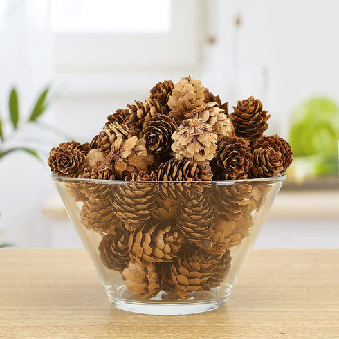JOHOUSE 200PCS Natural Mini Pine Cones,Natural Pine Cones Christmas Pine Cones PineCones Ornaments for Autumn and Winter Decor Christmas Decorations