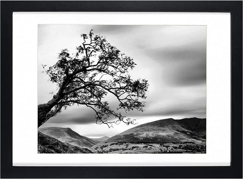 10x14 Picture Frames Black Display 8.5x11 Picture Frame with Mat Document Wooden Photo Frame Diploma and Certificate Frame for Wall Hanging Home Decoration-10x14 Black