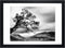 10x14 Picture Frames Black Display 8.5x11 Picture Frame with Mat Document Wooden Photo Frame Diploma and Certificate Frame for Wall Hanging Home Decoration-10x14 Black