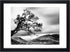 10x14 Picture Frames Black Display 8.5x11 Picture Frame with Mat Document Wooden Photo Frame Diploma and Certificate Frame for Wall Hanging Home Decoration-10x14 Black