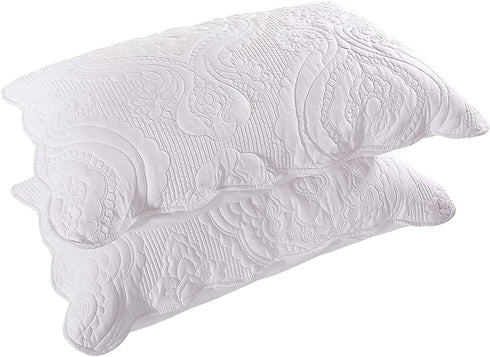 BOSOWOS Queen Pillowcases Set of 2, White Ruffles Embroidered Pillow Cases 20 x 30 Inch, Soft Breathable Microfiber Decorative Pillow Shams 2 Pack with Envelope Closure Fit Home Bed Sheet Sleeping