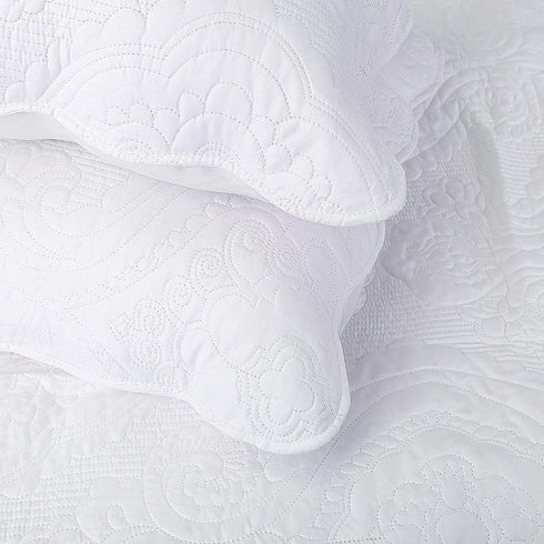 BOSOWOS Queen Pillowcases Set of 2, White Ruffles Embroidered Pillow Cases 20 x 30 Inch, Soft Breathable Microfiber Decorative Pillow Shams 2 Pack with Envelope Closure Fit Home Bed Sheet Sleeping