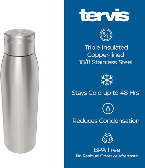 Tervis Disney Frozen 2 Be Brave Insulated Travel Tumbler & Lid, 17 oz, Silver