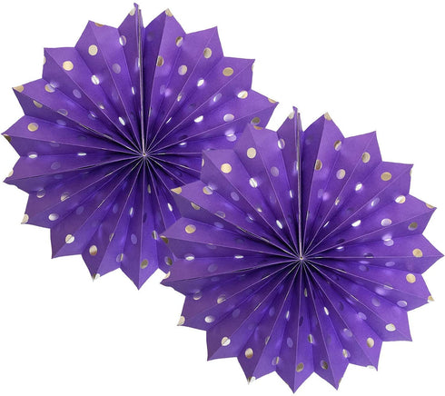 Purple Silver Birthday Decorations for Women Silver Happy Birthday Balloons Purple Silver Latex Balloons Polka Dot Paper Fans/Girl Purple Birthday Decorations for Women's 30th/40th/50th/60th Birthday Party Backdrop