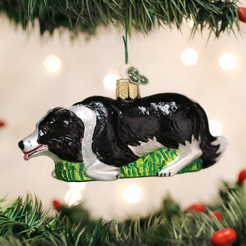 Old World Christmas Dog Collection Glass Blown Ornaments for Christmas Tree Colle, Herding Border Collie