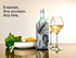 The HHC Wine Chiller Sleeve I Wine Bottle Cooler Champagne Chiller I Adjustable Size Bottle Wrap for Easy and Rapid Chilled Wine I Wine Cooler Sleeve I Wine Bottle Chiller Cooler for Champagne Lovers