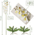 FagusHome 32" Artificial Phalaenopsis Flowers 4 Pcs with 2 Bundles Leaves Artificial Orchid Flowers Stem Plants for Home Décor (White)