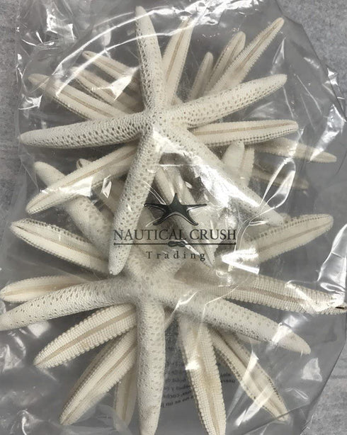 Starfish Decor - 10 White Finger Star Fish 6-8 Inch - Starfish for Crafts - White Starfish Wall Décor - Beach Wedding Starfish - Beach Starfish Décor - Star Fish Decorations