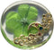 KIN-HEBI Real Four Leaf Clover Good Luck Pocket Token, Preserved, 1.25, Including Metal Ornament (Night Sky)